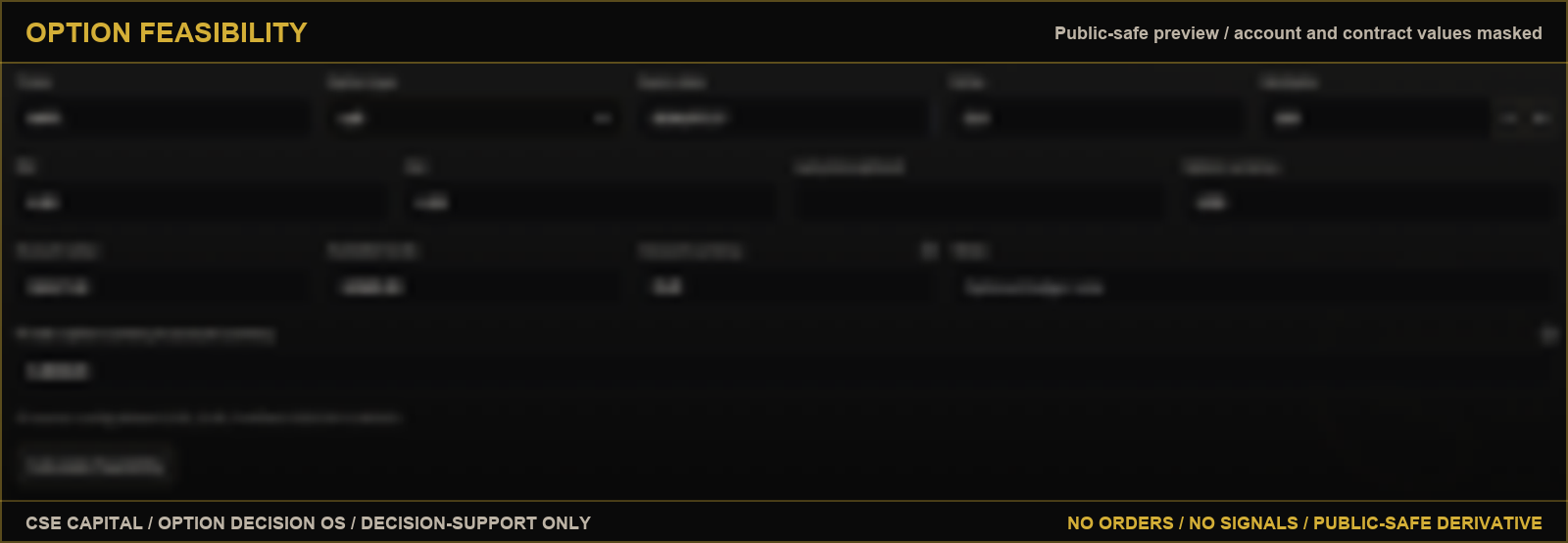 Public-safe Option Feasibility preview.